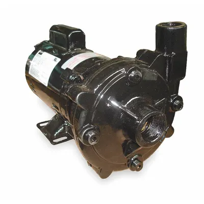 Dayton Centrifugal Pump: 1/2 hp, 115/230V AC, 82 ft Max Head, 1 1/4 in, 1 in Intake and Disch - 1/4 to 3/4 HP Straight Centrifugal Pumps