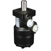 HYDRO CUSTOM Hydraulic Motor: SAE-AA 4-Bolt, 315 cc, 240 RPM Max. RPM, 3,403 lb-in Continuous Torque (MPN CUM 322-0257)