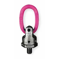 RUD CHAIN Hoist Ring: Pivot/Swivel, Steel w/Pink Powder-Coated Bail, 3/4"-10, Max. 5,000 lb, Lifting (MPN 7989903)