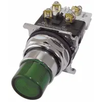 EATON Illuminated Push Button: Illuminated, Extended Profile, Metallic, 30 mm, 1NO/1NC (MPN 10250T397LGD24-1)