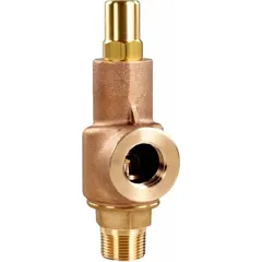 Non-code pressure relief valve for air, inert gas, and liquid systems. Bronze body with 3/4 in MNPT x 3/4 in FNPT connections. Adjustable set point with maximum operating pressure of 250 psi. Used for overpressure protection in industrial piping, compressors, and hydraulic circuits.