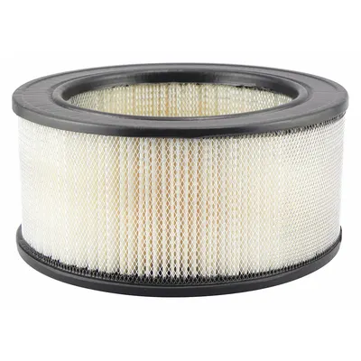 BALDWIN FILTERS PA1719 Round/Oval Engine Air Filter - Round/Oval Engine Air Filters