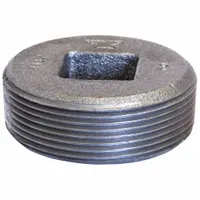 Plug: 3/8 in, Threaded, 300 psi @ 150° F, Plug, Cast Iron (MPN 0318903606)