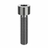 Socket Head Cap Screw: 1/4"-20 Thread Size, 1 in Lg, Std, NL-19, Stainless Steel, 316, 10 PK (MPN FB3SCAPS14201P10)