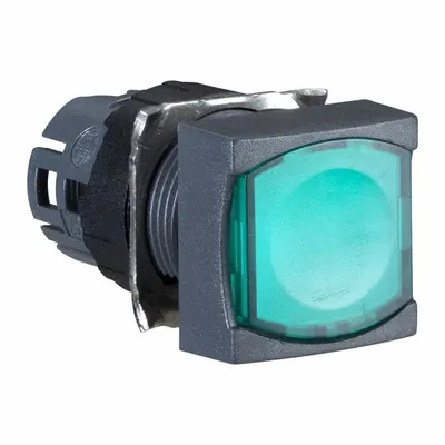 SCHNEIDER Flush Push Button: Green, 16 mm Mounting Size, Non-Metallic - Illuminated Flush-Mount Push-Button Operators