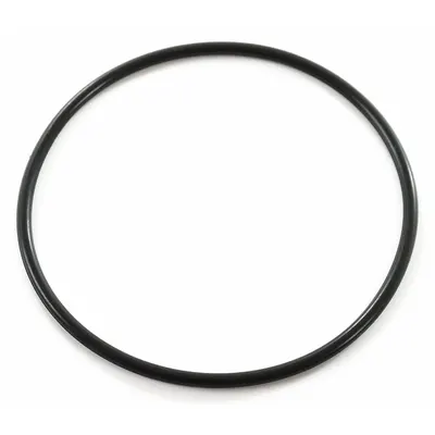 DAYTON O-ring: FANG 18C - Replacement Parts for Floor Cleaning Machines