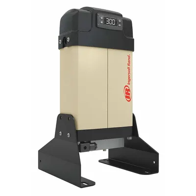 INGERSOLL RAND Heatless Air Dryer: 3/8 in NPT, 9 cfm, 200 psi Max Op Pressure - Modular Regenerative Desiccant Compressed Air Dryers