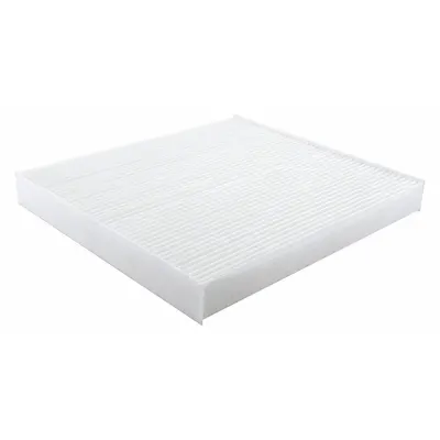 BALDWIN FILTERS PA10136 Panel Cabin Air Filter - Panel Cabin Air Filters