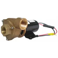 Marine Centrifugal Pump: Brass, 36V DC, 17 ft Max Head, 3/4 in, 3/4 in Intake and Discharge Size