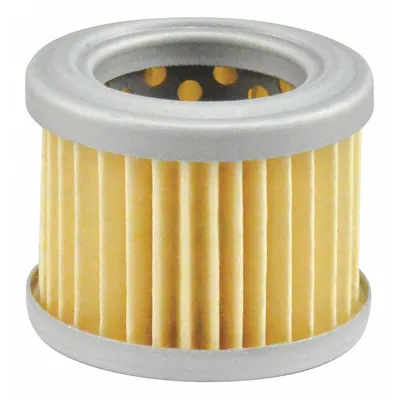 BALDWIN FILTERS Fuel Filter: Cartridge, 1 5/8 in Outside Dia, 1 in Inside Dia, Gasoline - Cartridge Fuel Filters