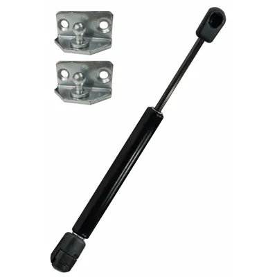 BANSBACH EASYLIFT Gas Spring: M8 Thread Size, 605 mm Ext Lg, 40 lbf Force - Gas Springs