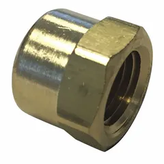 Brass female cap for sealing hydraulic hose lines. 1/4 in fitting size, rated for 1,200 psi maximum working pressure at 70 °F. Corrosion-resistant construction suitable for hydraulic systems.