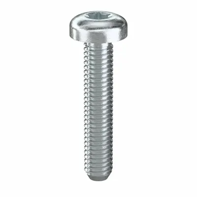 TAMPER-PRUF SCREW Machine Screw: #10-32 Thread Size, 1 in Lg, Steel, Zinc-Plated, Pan, Torx/Star - Pan Head Machine Screws