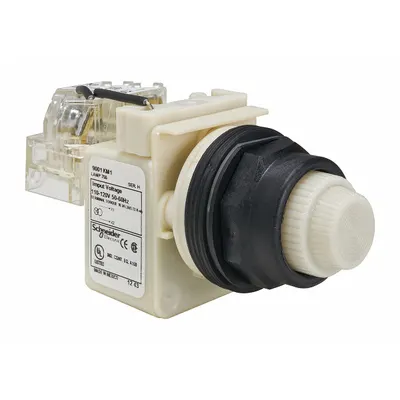 SCHNEIDER Pilot Light: 30 mm Panel Mounting Size, White, Incandescent - Incandescent Pilot-Lights