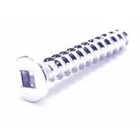 Wood Screw: #10 Size, 2 in Lg, Stainless Steel, NL-19, Flat, Square, 100 PK (MPN FBSQDRWS102P100)