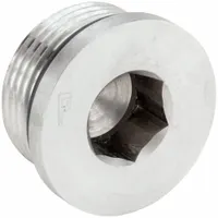 Plug: Plug, 316 Stainless Steel, Male Threaded, 5,500 psi, 25/32 in Lg (MPN 14 HP5ON-SS)