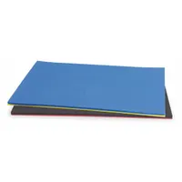 PROTO Foam Insert: Blue/Yellow, 39 in Overall Wd, 26 1/4 in Overall Lg, 0 Compartments, Foam (MPN DIYBL)