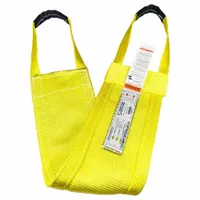 STREN-FLEX Web Sling: Type 9, Polyester, 2 Plies, 12 ft Sling Lg, 12 in Eye Lg, 1 Legs (MPN LB2-910P)