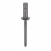 Blind Rivet,1.713" L,0.1875" dia,PK25: Inch, 1 23/32 in Overall Lg, 13/32 in Body Lg, Dome, 25 PK (MPN MGLP-R6-4-PKT)