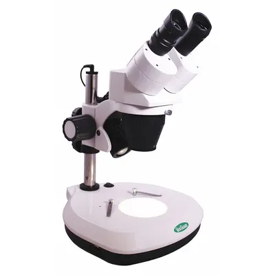 VANGUARD Microscope: Stereo, Binocular, 10X to 30X, 20 mm Optical Field of View - Stereo Microscopes