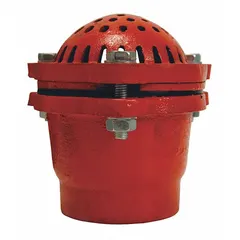 Cast iron foot valve with 3 in NPT pipe size, designed for pump suction lines to maintain prime and prevent backflow. Includes a strainer to protect the pump from debris. Suitable for water transfer, irrigation, and industrial pumping applications.