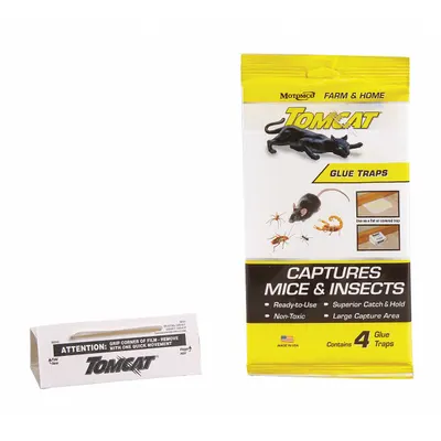 TOMCAT Glue Trap: Glue Trap, 2 in Overall Ht, 5 3/4 in Overall Wd, Paper/Glue - Rodent Traps