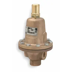 Cast iron general purpose pressure regulator with FNPT x FNPT connections, 1 in x 1 in size, adjustable from 20 psig to 90 psig. Used to maintain set upstream pressure in fluid systems, protecting pumps and equipment from overpressure in moderate-pressure applications.