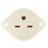 Single flanged receptacle rated 15 A at 250 V AC, 2-pole/3-wire grounding with NEMA 6-15 configuration. White finish. Suitable for flush or surface mounting in industrial and commercial settings for equipment requiring a 250V connection