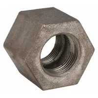 Metal Pipe Straight: 1 in x 1 in, Threaded x Threaded, Class 125, 175 psi @ 150° F, Straight (MPN 0300147998)