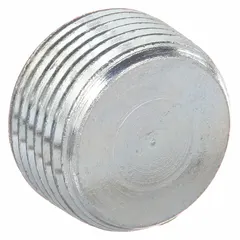 Steel electroplated blank plug with 3/4 in NPT male-to-male threads for sealing unused hub or tapped hole openings in hazardous location enclosures. Prevents entry of dust, moisture, and gases in industrial environments requiring explosion-proof sealing.