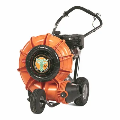BILLY GOAT F1002V Walk-Behind Blower, Push Drive, Vanguard 4-Cycle Engine - Walk-Behind Blowers