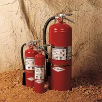 AMEREX Fire Extinguisher: 5 lb Extinguisher Capacity, 30B:C, Potassium Bicarbonate (MPN B479T)