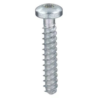 TAMPER-PRUF SCREW Sheet Metal Screw: #2 Size, 1/4 in Lg, Steel, Zinc-Plated, Torx Plus, Pan - Pan Head Sheet Metal Screws