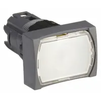 SCHNEIDER Flush Push Button: 16 mm Mounting Size, Non-Metallic, Momentary (MPN ZB6DW1)
