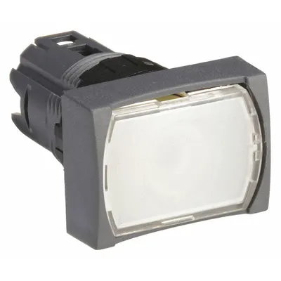 SCHNEIDER Flush Push Button: 16 mm Mounting Size, Non-Metallic - Illuminated Flush-Mount Push-Button Operators