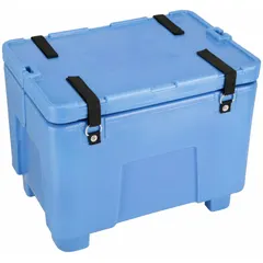 Rectangular stationary insulated bulk container with collapsible design and included lid. Features 2-way fork entry with fork pockets. Blue, 24 x 30 x 21 in. Used for storing and transporting temperature-sensitive materials in industrial settings.