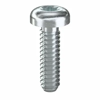 TAMPER-PRUF SCREW Machine Screw: #6-32 Thread Size, 1/2 in Lg, Steel, Zinc-Plated, Pan, Torx/Star - Pan Head Machine Screws