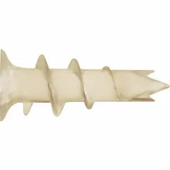 Standard self-threading anchors for drywall. #6 thread size, 47/64 in thread length, 1 5/16 in overall length. Flat white design. 5,000-pack. Used to create a threaded mounting point in drywall for hanging shelves, mirrors, or light fixtures without a pilot hole.