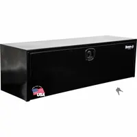BUYERS PRODUCTS Underbody: Underbody Truck Box, Single Drop-Down Door Door, 18 in Overall Dp, Black (MPN 1732315)