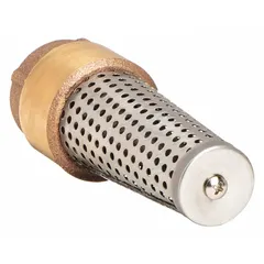 Brass inline foot valve with 2-inch FNPT connections, designed for pump suction lines to maintain prime and prevent backflow. Features a stainless steel strainer and spring-loaded sealing. Maximum working pressure 200 psi CWP. Suitable for water supply and irrigation systems.