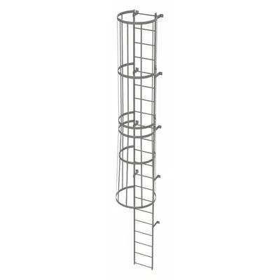 TRI-ARC Fixed Ladder with Safety Cage: 20 ft Overall Ht, 18 in Overall Wd, Steel - Safety Cage Fixed Ladders