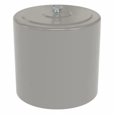 SOLBERG Filter Silencer: 2 in Inlet Size, 135 scfm, 12.25 in Overall Ht, 10 in Outside Dia - Air Compressor Intake Filters & Silencers