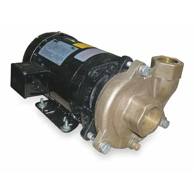 Dayton Centrifugal Pump: 2 hp, 230/460V AC, 72 ft Max Head, 1 1/2 in, 1 1/4 in Intake and Disch - 2 to 3 HP Straight Centrifugal Pumps