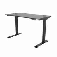 FLEXISPOT Adjustable Standing Desk: Black, Laminate, 48 in Overall Wd, 24 in Overall Dp, Steel, FCC (MPN E9B)