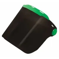 Visor: Radiant Heat, Radiant Heat, Black/Green (MPN 16-675-IR5)