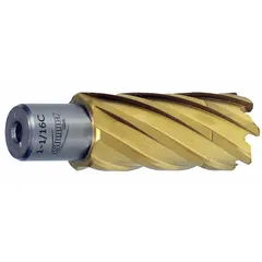 This annular cutter is made of high-speed steel with a TiN coating for general cutting applications. It features a 3-inch cutter diameter and a 2-inch maximum cutting depth. The Weldon Flat shank ensures secure toolholding in compatible magnetic drilling machines. Suitable for cutting holes in metal in construction, fabrication, and maintenance work.