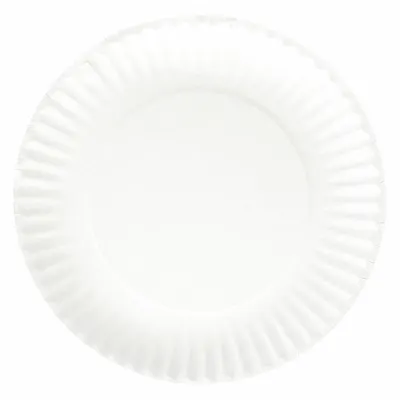 OEM Disposable Paper Plate, 6 in, Light-Weight, 1000-Pack - Paper Plates