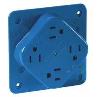 BRYANT Receptacle: Hospital Grade, Quad, 5-15R, Blue, 125V AC, 15 A, 2 Pole / 3 Wire (MPN 1254HSA)