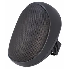 This powered 2-way wall-mount speaker is designed for indoor use. It features an 8 ohm impedance and a 6-inch overall width. Suitable for applications such as paging, background music, or public address in commercial environments.