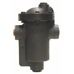 Standard inverted-bucket steam trap for automatic condensate drainage from steam lines. Cast iron body with 3/4 inch FNPT connections, rated for 250 psi maximum pressure and 450°F maximum temperature. Capacity of 3,500 lb/hr. Designed for in-line horizontal installation. Strainer not included.